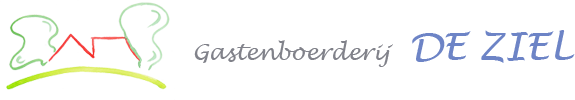 Even helemaal weg in de bed and breakfast in Diepenheim