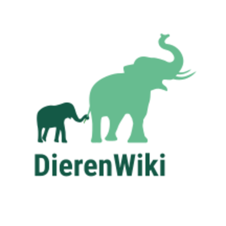 Een spreekbeurt over dieren.
