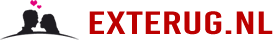 Hoe krijg ik mijn ex terug?! 