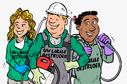 Wij kunnen snel uw wespennest verwijderen
